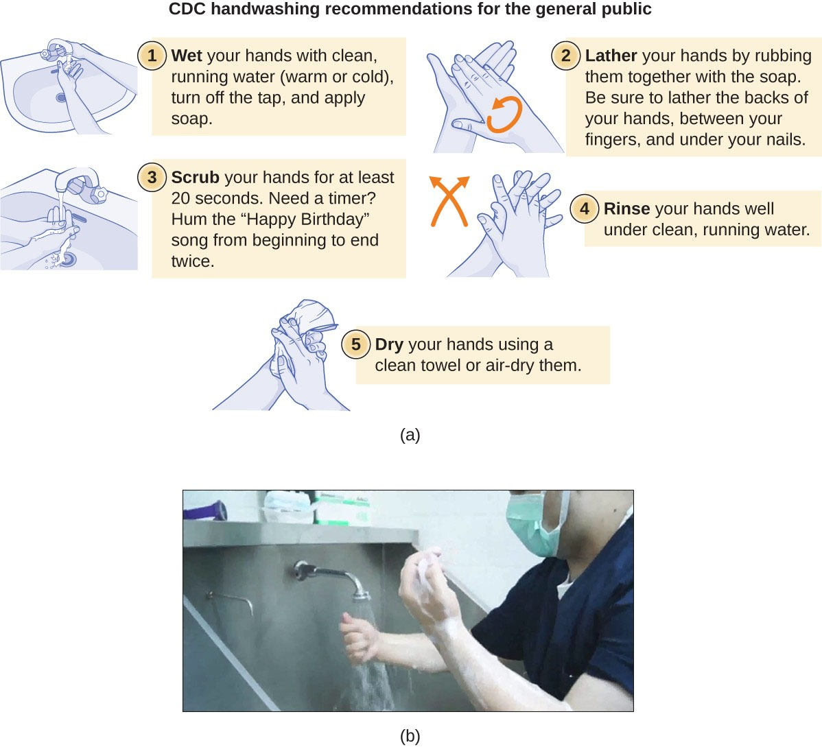 Using Chemicals to Control Microorganisms