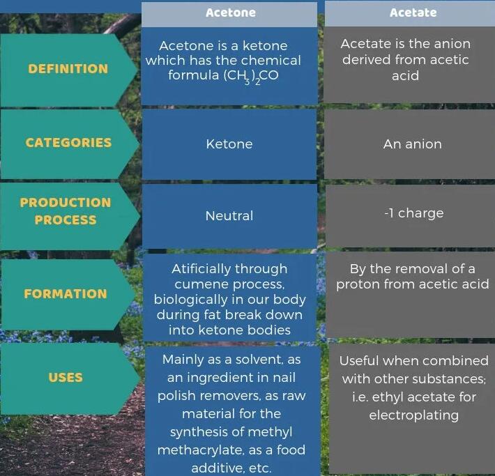 Difference Between Acetate vs Acetone