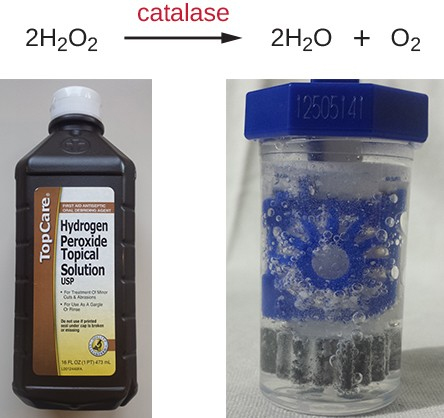 Hydrogen peroxide can be used as a sterilant