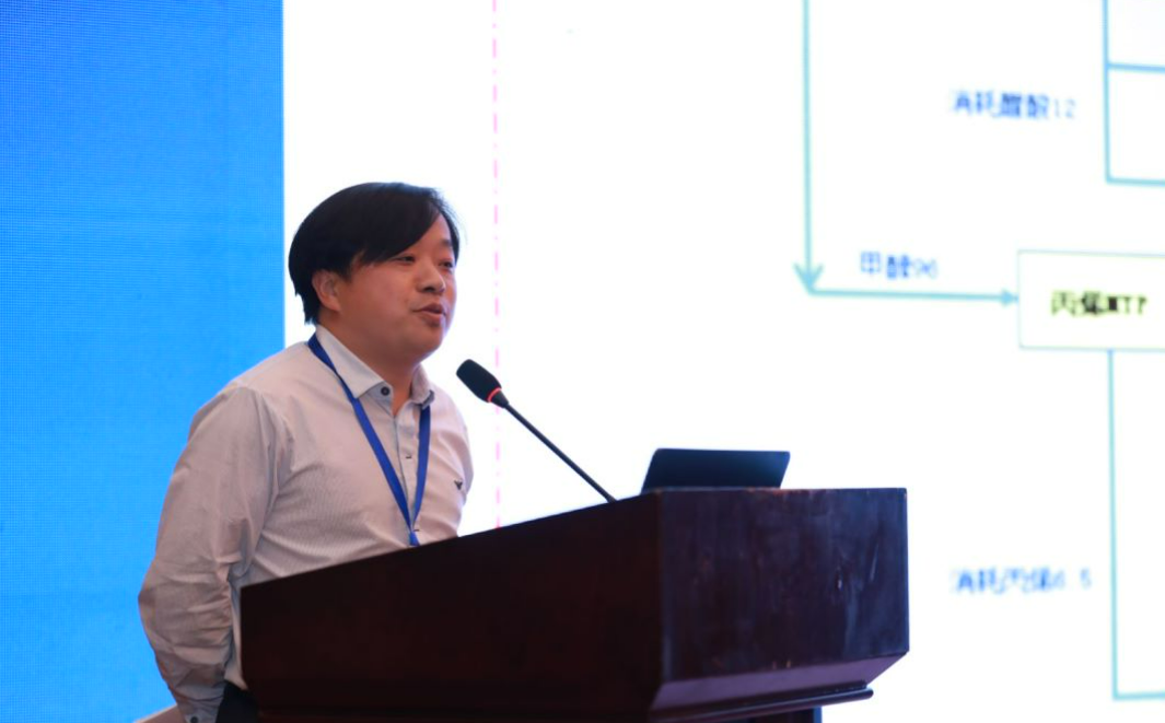 News Report on 2023 Domestic and Foreign Technical Exchange Conference of China Formaldehyde Association