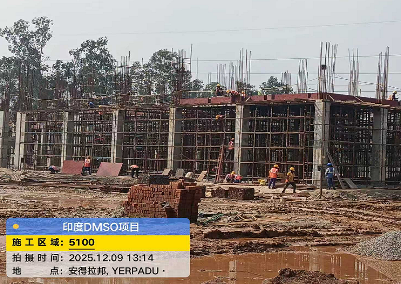 Turnkey Engineering & Equipment Supply for 10,000 TPA DMSO Plant in India