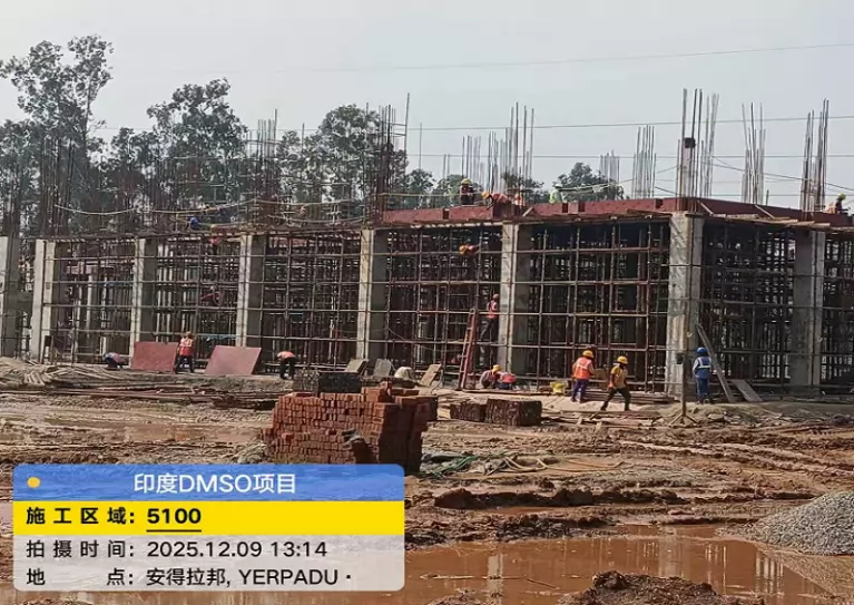 Turnkey Engineering & Equipment Supply for 10,000 TPA DMSO Plant in India